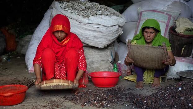 View of women sifting dried fish in Bogura Bangladesh. View of women sifting dried fish in Bogura Bangladesh.