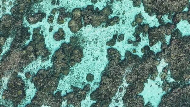 Aerial view of coral reef in Vaikaradhoo Maldives. Aerial view of coral reef in Vaikaradhoo Maldives.
