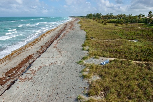 Aerial view of the contrasting blues of the ocean meeting the sandy shore divided by a line of seaweed against the backdrop of green vegetation Jupiter Island Florida United States. Aerial view of the contrasting blues of the ocean meeting the sandy shore divided by a line of seaweed against the backdrop of green vegetation Jupiter Island Florida United States.