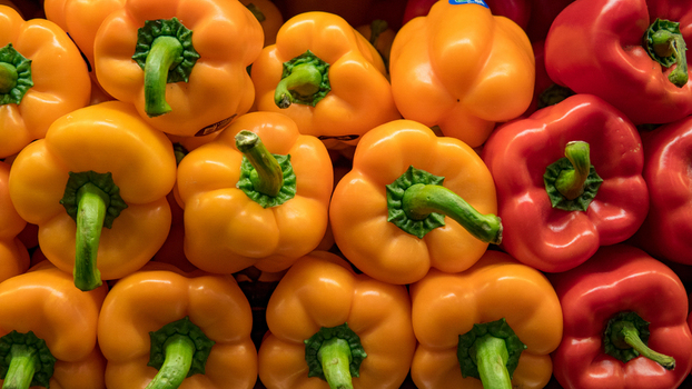 View of fresh yellow orange and red bell peppers arranged in a vibrant display in California City California United States. View of fresh yellow orange and red bell peppers arranged in a vibrant display in California City California United States.