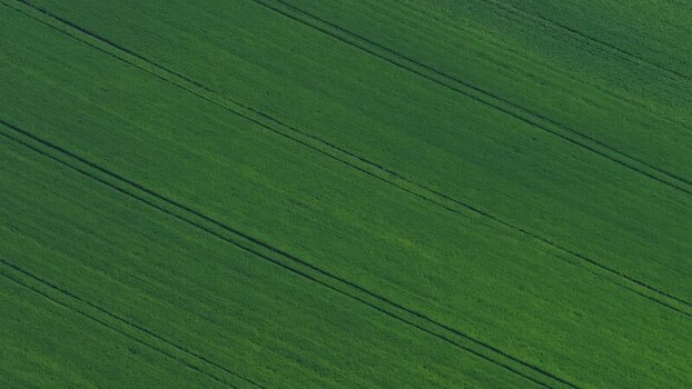 Aerial view of lush green field France.