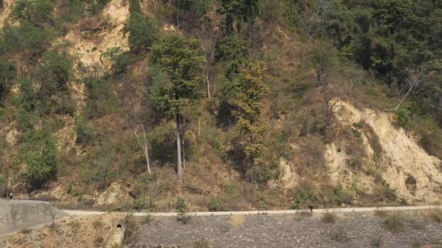 View of a road along a forested hillside Nepal.