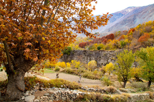 Aerial view of autumn s warm hues paint the landscape with gold and russet tones against the backdrop of rugged mountains Ghizer Pakistan.