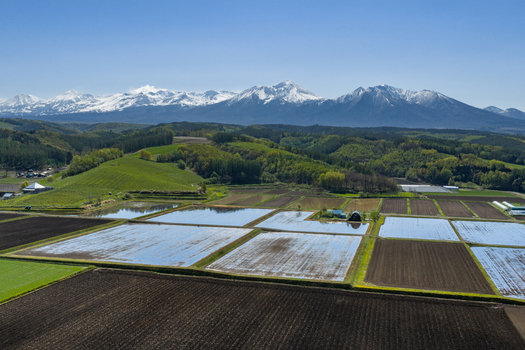 Aerial view of agricultural fields and flooded paddies with rolling green hills and snow capped mountains in the background in Furano Hokkaido Japan. Aerial view of agricultural fields and flooded paddies with rolling green hills and snow capped mountains in the background in Furano Hokkaido Japan.
