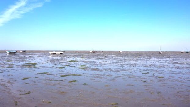 Aerial view of boats on mudflats Mozambique.