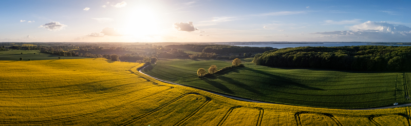 Aerial view of the Freienwillen area featuring vibrant yellow rapeseed fields rolling green hills and a dense forest under a bright sun in Langballig Schleswig Holstein Germany. Aerial view of the Freienwillen area featuring vibrant yellow rapeseed fields rolling green hills and a dense forest under a bright sun in Langballig Schleswig Holstein Germany.