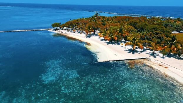 Aerial view of a tropical beach with palm trees and turquoise water Honduras. Aerial view of a tropical beach with palm trees and turquoise water Honduras.