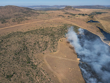 Aerial view of a controlled bushfire with thick white smoke rising from charred grassland and rolling hills under a clear blue sky in Waterberg District Municipality Limpopo South Africa.