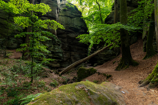 View of the Mullerthal Trail featuring towering sandstone rock formations moss covered boulders and a fallen tree trunk in a lush forest setting in Berdorf Echternach Luxembourg. View of the Mullerthal Trail featuring towering sandstone rock formations moss covered boulders and a fallen tree trunk in a lush forest setting in Berdorf Echternach Luxembourg.