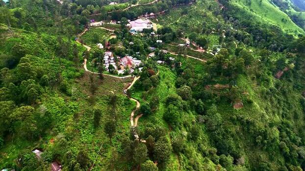 Aerial view of lush green tea plantations in Sri Lanka.
