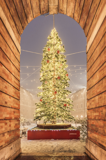 View of a brightly illuminated Christmas tree decorated with ornaments framed by a historic brick archway in a quiet square at night in Macerata Marche Italy. View of a brightly illuminated Christmas tree decorated with ornaments framed by a historic brick archway in a quiet square at night in Macerata Marche Italy.