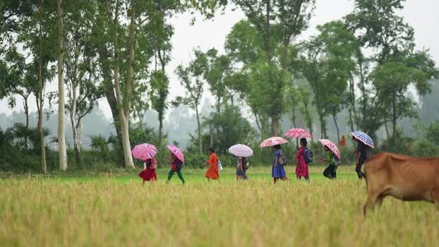 View of children with umbrellas walking through fields Bangladesh.