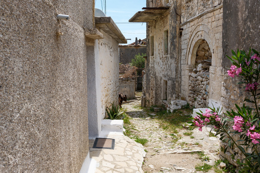 View of a narrow cobblestone alley with a small animal between traditional stone houses and pink oleander flowers in Qeparo Fshat Vlore County Albania. View of a narrow cobblestone alley with a small animal between traditional stone houses and pink oleander flowers in Qeparo Fshat Vlore County Albania.