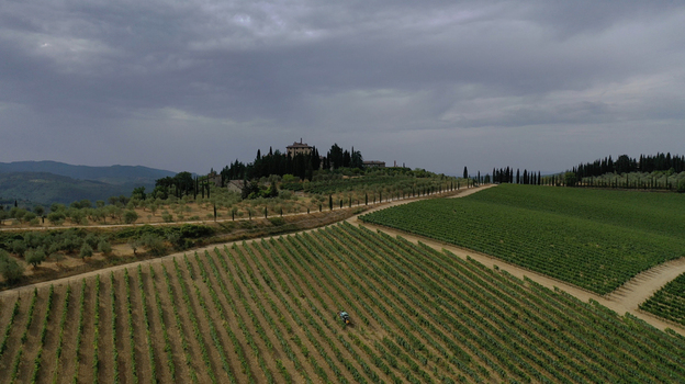 Aerial view of lush green vineyards in neat rows leading to a historic villa on a hilltop surrounded by cypress trees under a cloudy sky in Greve in Chianti Tuscany Italy. Aerial view of lush green vineyards in neat rows leading to a historic villa on a hilltop surrounded by cypress trees under a cloudy sky in Greve in Chianti Tuscany Italy.
