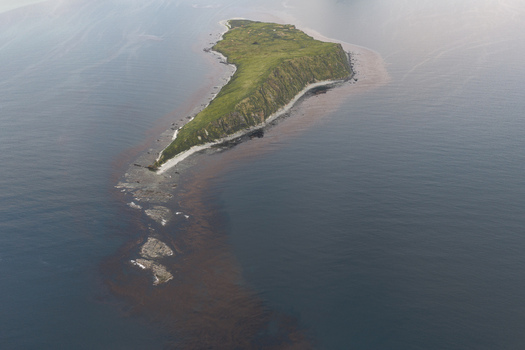Aerial view of a lush green island surrounded by deep blue ocean waters with rocky coastlines and kelp beds in Unalaska Alaska United States.
