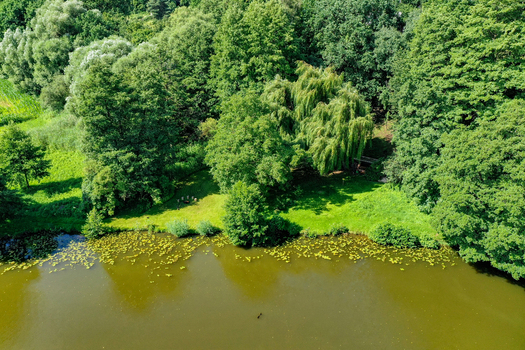 Aerial view of the Regnitzaltwasser riverbank with dense green trees and lily pads on the water surface in Forchheim Bayern Germany. Aerial view of the Regnitzaltwasser riverbank with dense green trees and lily pads on the water surface in Forchheim Bayern Germany.