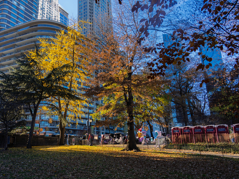 Manhattan United States 03 December 2025 View of autumn s golden hues painting the trees against the backdrop of modern skyscrapers creating a captivating contrast in the urban landscape.