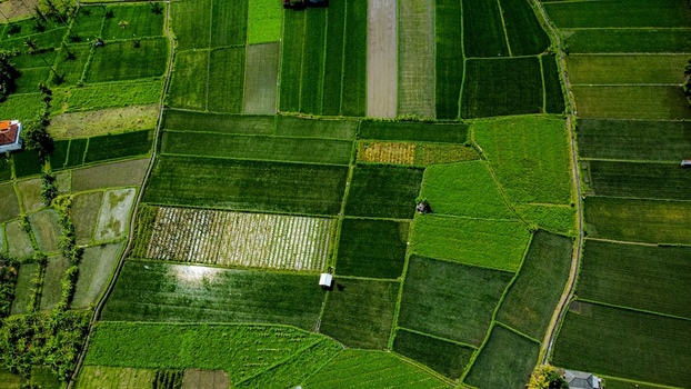 Aerial view of the lush green Tegallalang Rice Terrace featuring geometric rice paddies irrigation paths and small structures in Kecamatan Tegallalang Bali Indonesia.