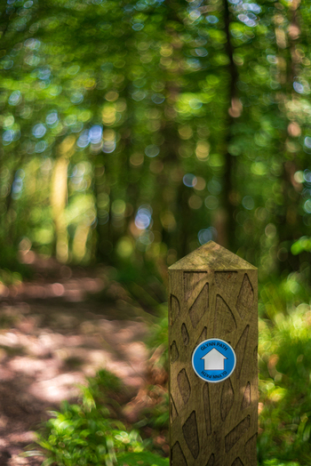 View of the Glynn Path marker post with a blue directional sign in the lush Golitha Falls National Nature Reserve in Liskeard England United Kingdom. View of the Glynn Path marker post with a blue directional sign in the lush Golitha Falls National Nature Reserve in Liskeard England United Kingdom.