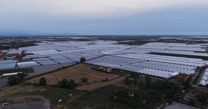Aerial view of vast greenhouses and agricultural fields Italy.