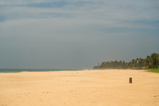View of a wide sandy beach with palm trees and ocean waves under a cloudy sky Sri Lanka. View of a wide sandy beach with palm trees and ocean waves under a cloudy sky Sri Lanka.
