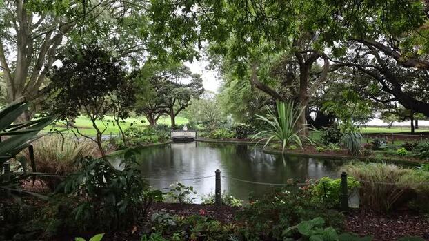 View of Royal Botanic Garden Sydney pond Australia.