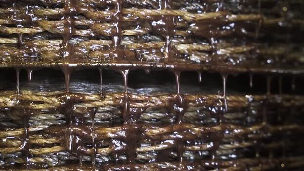 View of traditional olive oil extraction in a press Greece.