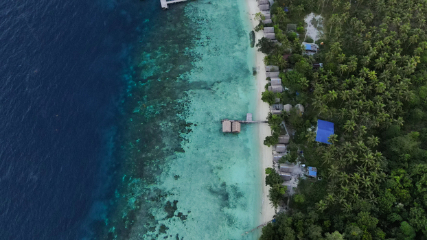 Aerial view of Raja Ampat featuring overwater bungalows white sand beach turquoise coral reefs and dense tropical palm forest in Raja Ampat Southwest Papua Indonesia.
