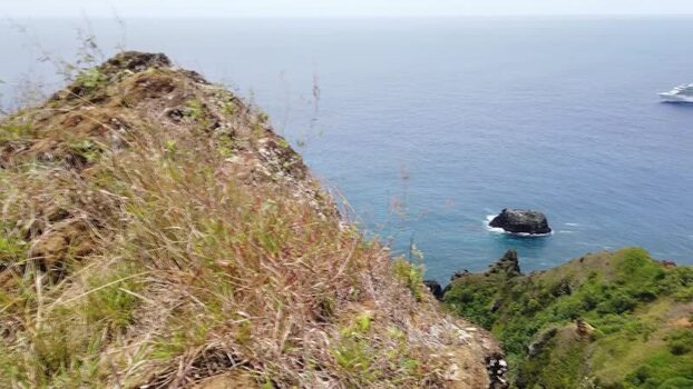 Aerial view of rugged cliffs meet the azure sea where a cruise ship sails on the horizon Madeira Portugal.