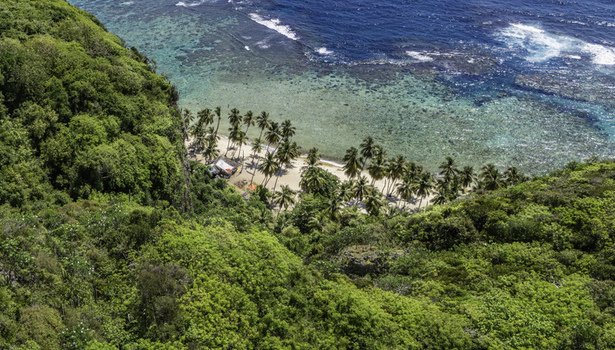 Aerial view of Playa Fronton featuring a secluded beach with palm trees lush green cliffs and turquoise Caribbean waters in Samana Samana Dominican Republic. Aerial view of Playa Fronton featuring a secluded beach with palm trees lush green cliffs and turquoise Caribbean waters in Samana Samana Dominican Republic.