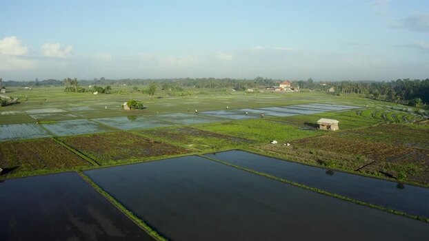 Aerial view of flooded rice paddies and small huts in Bali Indonesia. Aerial view of flooded rice paddies and small huts in Bali Indonesia.