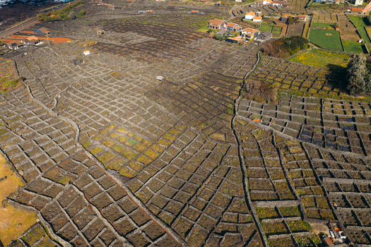 Aerial view of the traditional volcanic stone wall vineyards and rural houses in Biscoitos Azores Portugal. Aerial view of the traditional volcanic stone wall vineyards and rural houses in Biscoitos Azores Portugal.