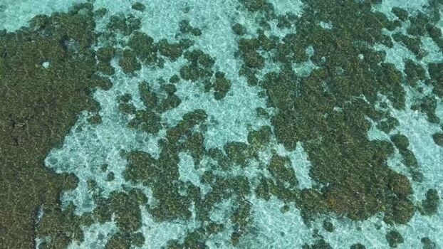 Aerial view of coral reef in shallow turquoise water Maldives. Aerial view of coral reef in shallow turquoise water Maldives.