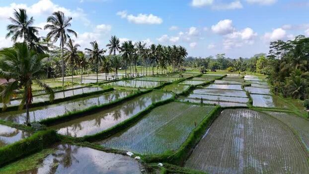 Aerial view of Banjar Mancingan Rice Trekking Indonesia. Aerial view of Banjar Mancingan Rice Trekking Indonesia.