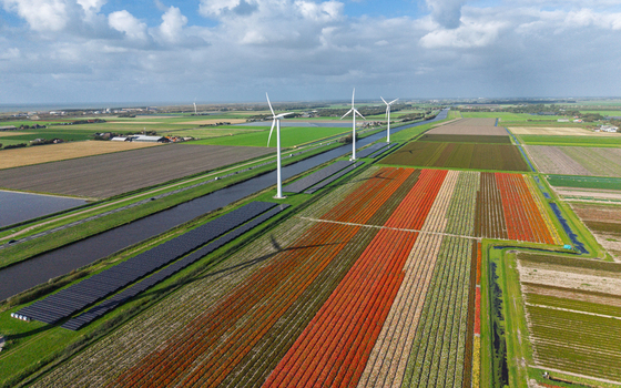 Aerial view of Burgervlotbrug Wind Farm with wind turbines solar panels and vibrant flower fields alongside a canal in Burgerbrug North Holland Netherlands. Aerial view of Burgervlotbrug Wind Farm with wind turbines solar panels and vibrant flower fields alongside a canal in Burgerbrug North Holland Netherlands.