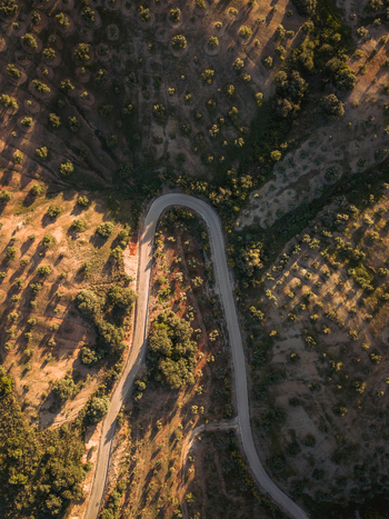 Aerial view of the winding road passing through the olive groves near Hacienda El Tarajal in El Tarajal Andalucia Spain. Aerial view of the winding road passing through the olive groves near Hacienda El Tarajal in El Tarajal Andalucia Spain.