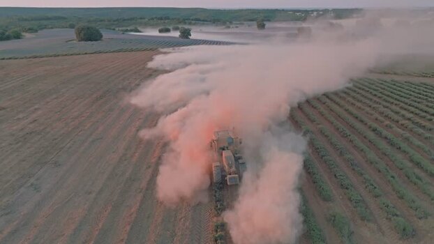 Aerial view of tractor harvesting lavender in Brihuega Spain.