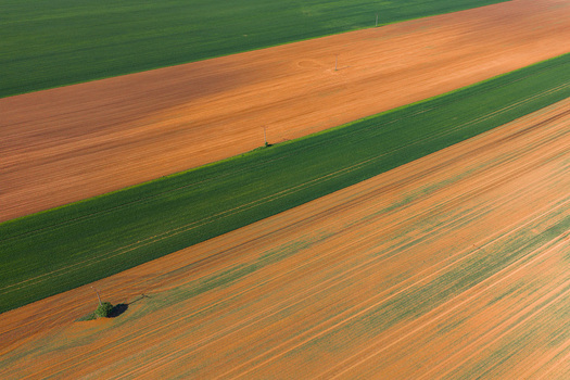 Aerial view of vibrant agricultural fields with alternating green and brown stripes under warm sunlight Kyjov South Moravian Region Czechia.