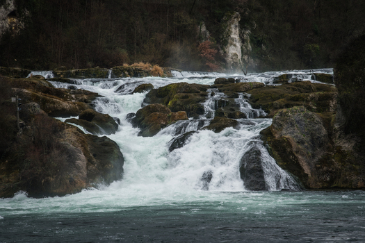 View of the powerful Rhine Falls cascading over moss covered rocks creating a dramatic display of nature s force Neuhausen am Rheinfall Switzerland. View of the powerful Rhine Falls cascading over moss covered rocks creating a dramatic display of nature s force Neuhausen am Rheinfall Switzerland.