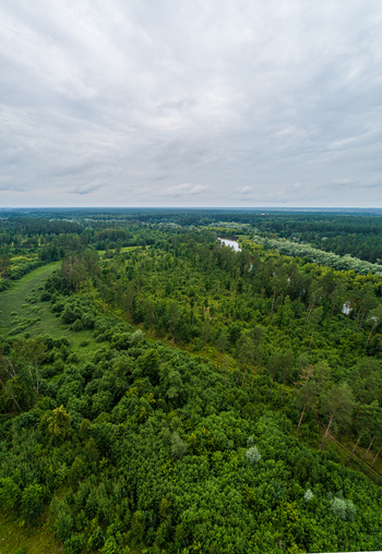 Aerial view of a lush green forest landscape with a winding river flowing through the trees under a cloudy sky in Latvia. Aerial view of a lush green forest landscape with a winding river flowing through the trees under a cloudy sky in Latvia.