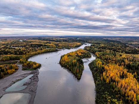 Aerial view of the Tanana River winding through autumn forests with golden foliage and gravel banks near Nenana Alaska United States. Aerial view of the Tanana River winding through autumn forests with golden foliage and gravel banks near Nenana Alaska United States.