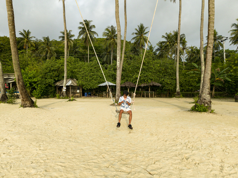 Aerial view of a person lounging on a swing amidst towering palm trees the soft sand contrasting with the lush greenery Karimunjawa Jawa Tengah Indonesia.