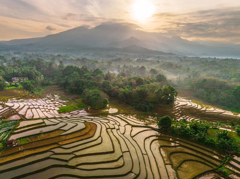 Aerial view of Tegalalang rice terraces at sunrise with lush greenery mist and mountains in the background in Tegalalang Bali Indonesia.