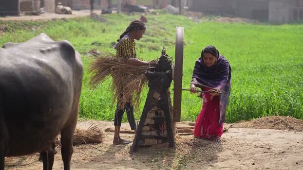 View of women using a fodder cutting machine in Patna India.