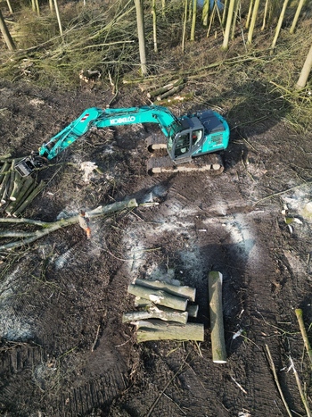 Nederland 06 July 2026 Aerial view of a Kobelco excavator working in a forest clearing with a worker standing near felled logs and scattered branches on the muddy ground. Nederland 06 July 2026 Aerial view of a Kobelco excavator working in a forest clearing with a worker standing near felled logs and scattered branches on the muddy ground.