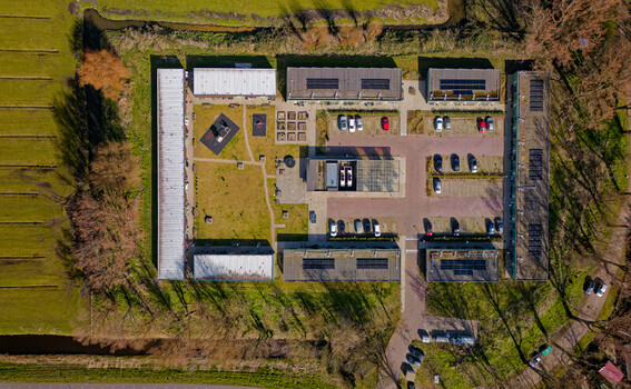 Wormer Netherlands 20 March 2026 Aerial view of the prefabricated Ukrainian refugee housing complex a haven of orderly structures and vibrant green spaces nestled amongst the golden fields. Wormer Netherlands 20 March 2026 Aerial view of the prefabricated Ukrainian refugee housing complex a haven of orderly structures and vibrant green spaces nestled amongst the golden fields.