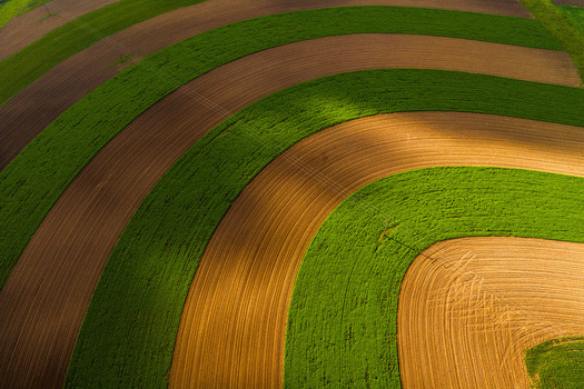 Aerial view of curved agricultural fields with alternating green crops and brown soil under soft sunlight in Klobouky u Brna Jihomoravsky kraj Czechia. Aerial view of curved agricultural fields with alternating green crops and brown soil under soft sunlight in Klobouky u Brna Jihomoravsky kraj Czechia.