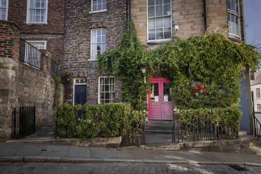 View of a historic brick building with a vibrant pink door and lush climbing ivy on a cobblestone street in Durham England United Kingdom. View of a historic brick building with a vibrant pink door and lush climbing ivy on a cobblestone street in Durham England United Kingdom.