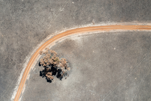Aerial view of a scorched tree standing in a vast burnt landscape with a winding dirt road cutting through the charred earth after bushfire in Kangaroo Island South Australia Australia. Aerial view of a scorched tree standing in a vast burnt landscape with a winding dirt road cutting through the charred earth after bushfire in Kangaroo Island South Australia Australia.