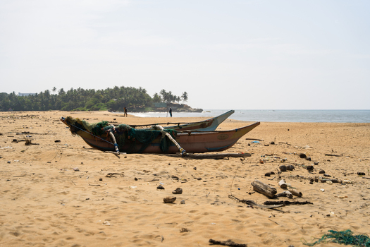 View of a traditional wooden outrigger fishing boat resting on a sandy beach with people in the distance and palm trees Galle Southern Province Sri Lanka.